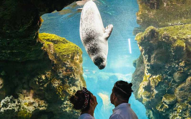 Bilet do Oceanarium w Genui z wybraną godziną wejścia
