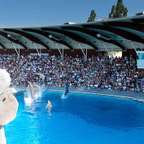 Biglietto Oltremare a Riccione: delfini e rapaci