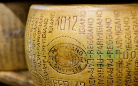 Parmesan Tour Modena: Käserei, Reifelager, Lambrusco
