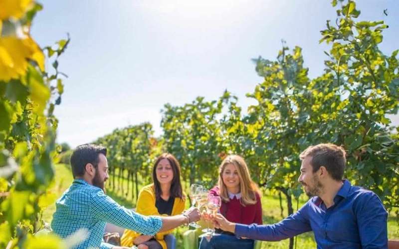Franciacorta-borkörút Parmából, ebéddel az Iseo-tónál