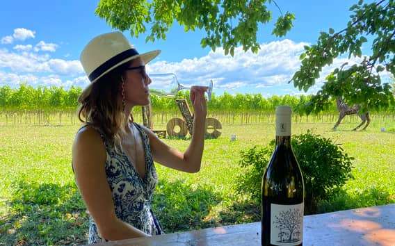 Aquilea: Visita a la bodega y cata