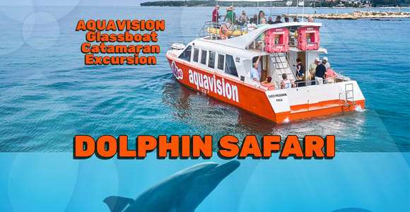 Umag : croisière en catamaran à fond de verre et observation des dauphins