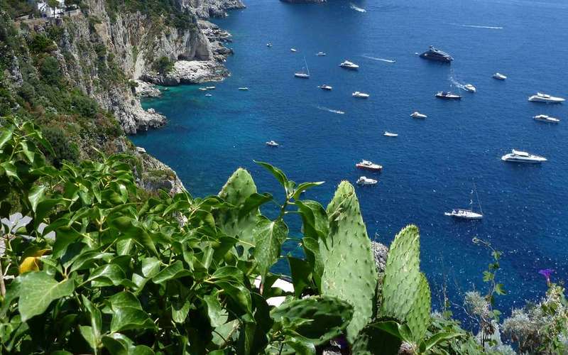 Vanuit Positano, Praiano of Amalfi: Capri dagvullende tour per boot