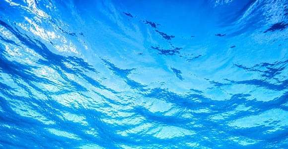 Giardini Naxos Taormina: Excursión al atardecer para avistar delfines