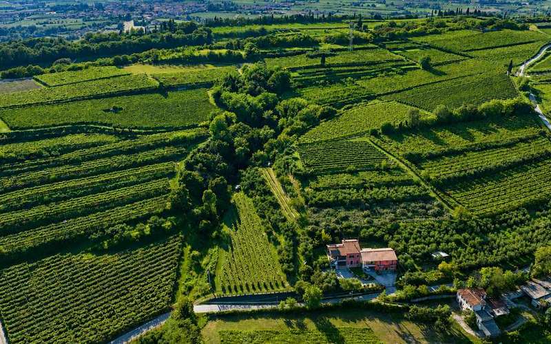 Gardató: panorámás farmtúra olívaolaj-kóstolóval