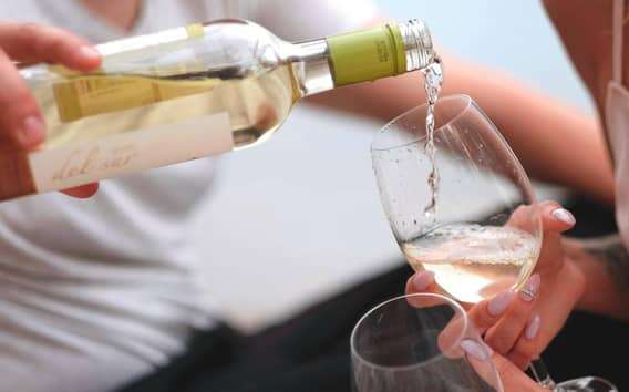 Tours des vins de Trani : Saveurs des Pouilles