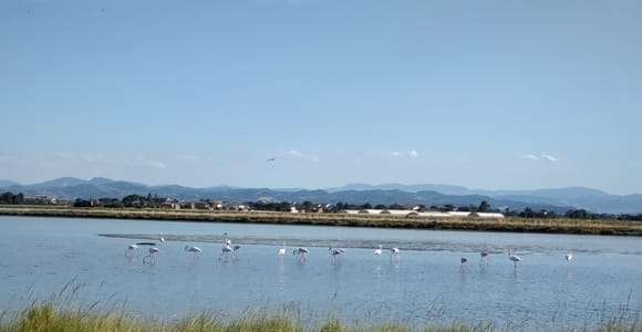 Cervia & Milano Marittima na vintage Ape Calessino