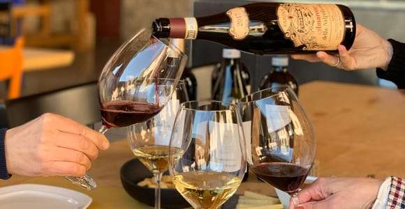 Valpolicella: Tour guiado à vinícola de 1,5 hora com degustação de vinhos