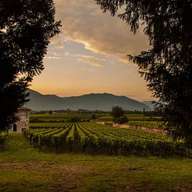 Franciacorta Winery Tour from Bergamo, Lunch and Minivan