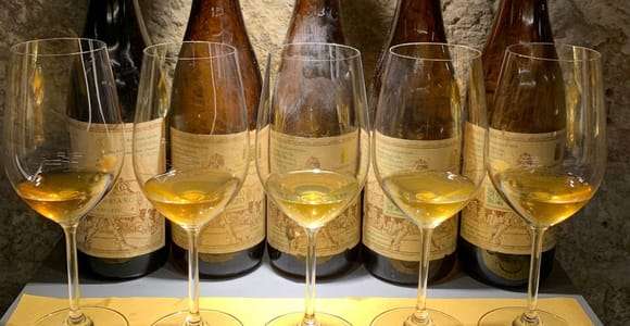 Degustação de vinhos com petiscos locais em Pisa