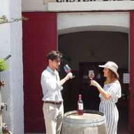 Salento : Visite et dégustation de vignobles