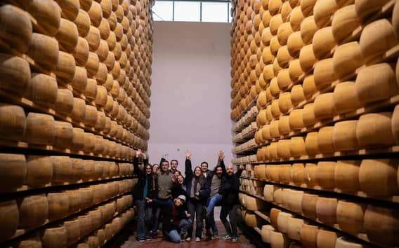 Food Valley Tour ab Bologna: Käserei, Acetaia, Weingut, Osteria