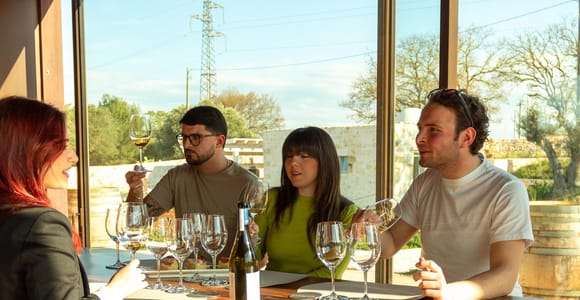 Los vinos ecológicos de Ostuni: visita y cata en la bodega.