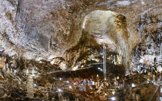 Visita guiada a la Grotta Gigante con museo, Trieste