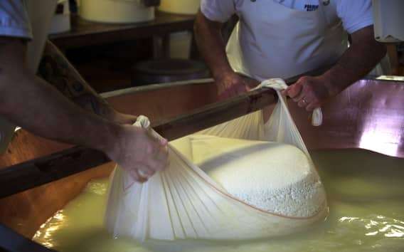 Visita al caseificio con pranzo tipico vicino a Parma