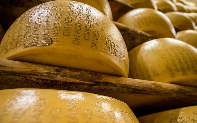 Reggio Emilia: Parmigiano Reggiano- és balzsamecet-túra tehenekkel