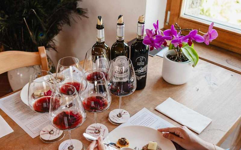 Montalcino: borház-látogatás idegenvezetéssel és gasztronómiai kóstoló