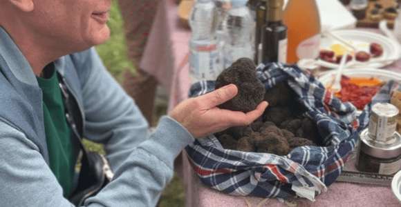 Carrière de truffes avec dégustation ou déjeuner