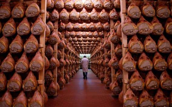 Parma: tour gastronomico in auto con degustazioni e pranzo