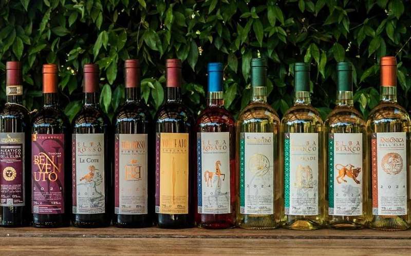 Elba Island: Wine Tasting with a Platter of Local Products