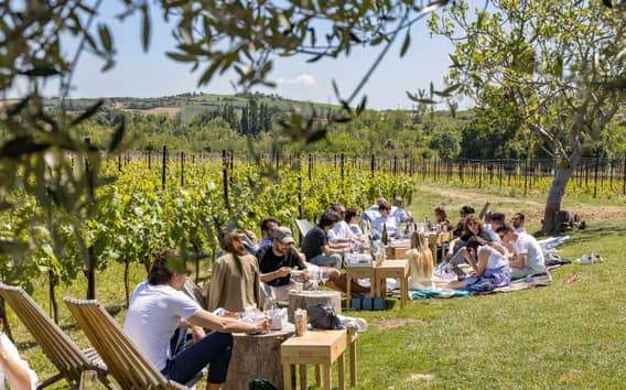 Bodega con cata de vinos en Rímini: Enio Ottaviani