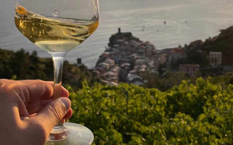 Vernazza: panorámás túra a szőlőültetvények között borkóstolóval