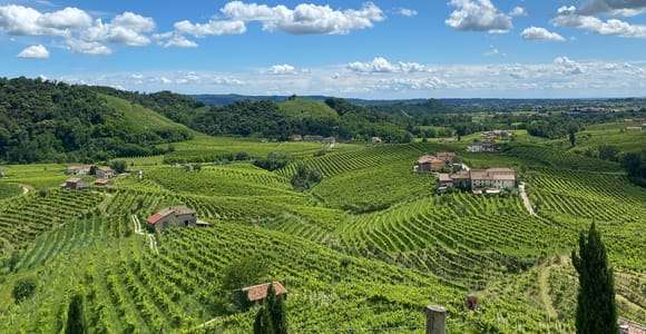 Tour panorâmico de degustação de Prosecco saindo de Pádua