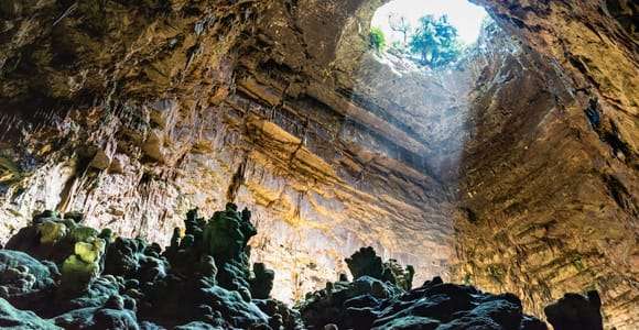 Da Bari: Visita delle Grotte di Castellana e di Polignano a Mare