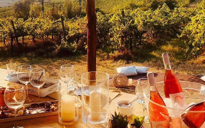 Borkóstoló Cortona közelében, a Colle Acacia szőlőbirtokon