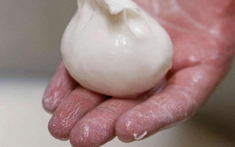 Apulia: Wycieczka do Masseria Seppunisi, degustacja serów i burraty
