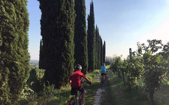 E-biketour door Custoza met wijnmakerij en proeverij