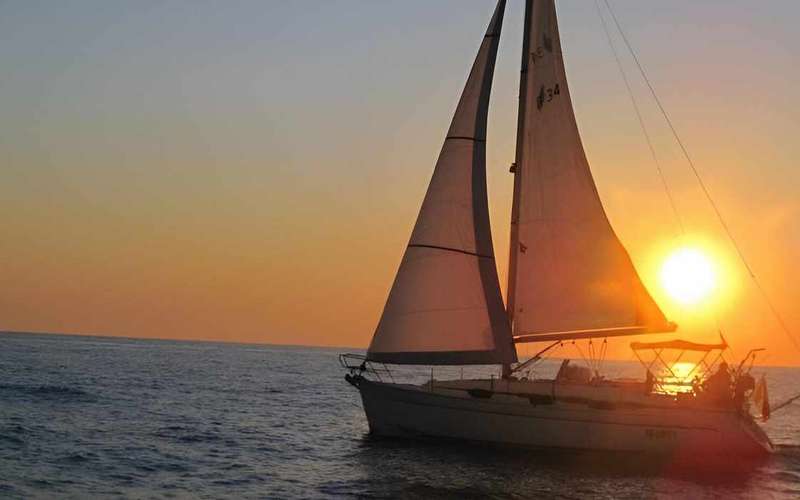 Bari: Crucero de medio día en velero para buscar delfines con merienda