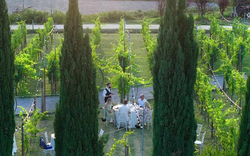 Chianti: vacsora toszkánai szőlőbirtokon borkóstolóval