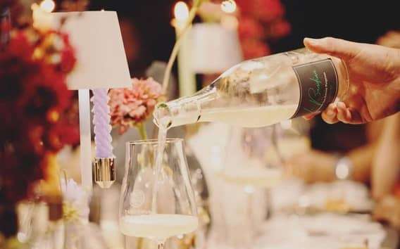 Degustazione di vini e visita in vigna a Parma: 5 assaggi