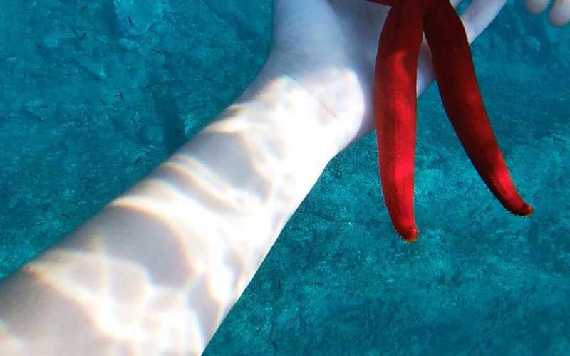 Naxos: Taormina Boat Tour with Snorkeling and Prosecco