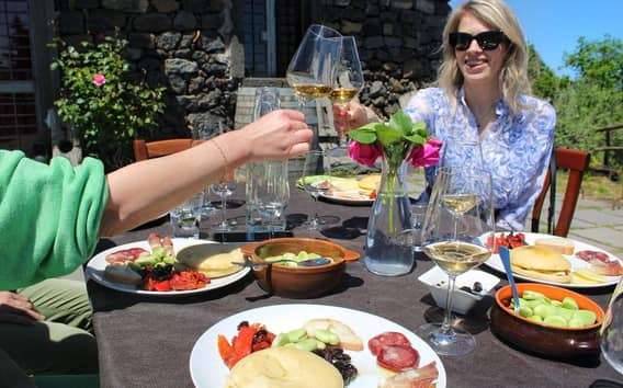 Privétour langs drie wijnhuizen op de Etna met proeverij