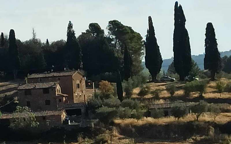 Pisa és Firenze Livornóból: privát hajóskirándulás