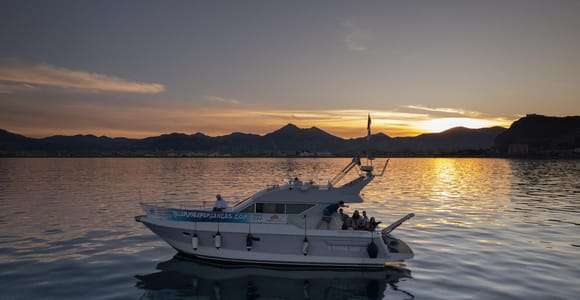 Tour in barca al tramonto a Palermo