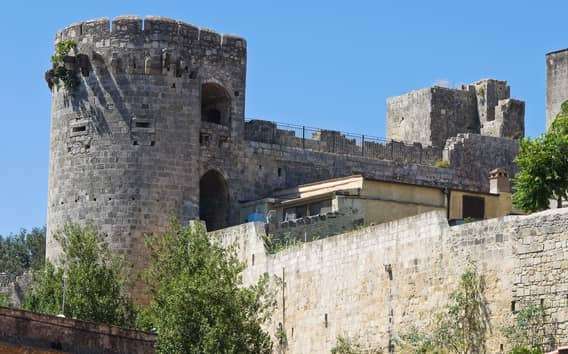Porto di Civitavecchia: Tarquinia e antica città etrusca – tour della città