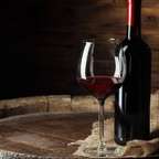 Cata de vinos en una finca toscana desde Montecatini Terme