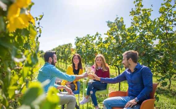 Franciacorta-borkörút Parmából, ebéddel az Iseo-tónál