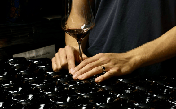 Bologna: Boutique Winery Tour mit Weinverkostung und Essen