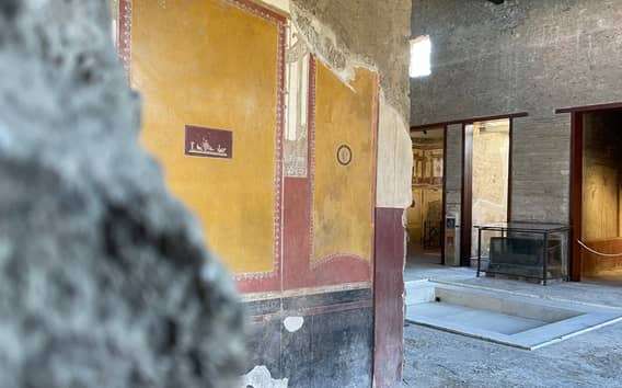 Desde Nápoles: Visita guiada a Pompeya con tickets de entrada sin cola