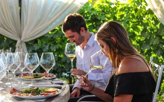 San Gimignano : Dégustation de vins et d'huiles avec amuse-gueules toscans