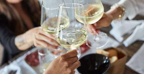 Desenzano: tasting of Lugana wines with vineyard tour