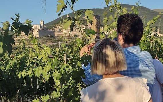 Weinprobe mit Weinbergspaziergang und Blick auf Assisi