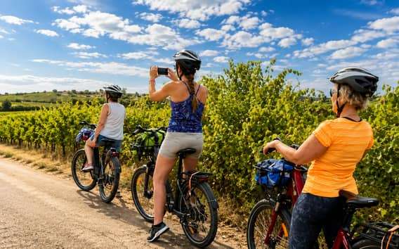 Gioia del Colle: Vineyard E-Bike Tour to a Primitivo Winery