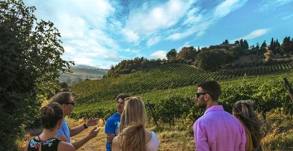 Siena: Visita a una bodega ecológica y cata de vinos