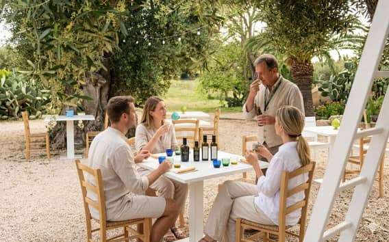 Cata de aceite de oliva y almazara subterránea en Ostuni