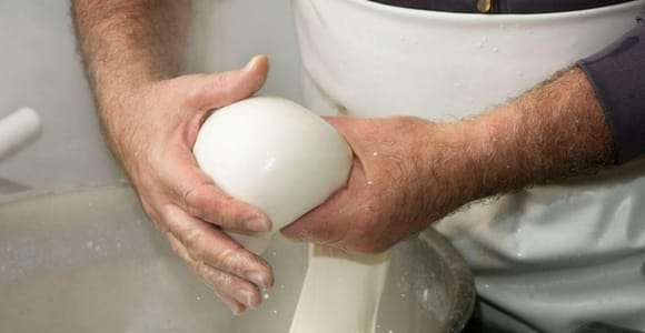 Apulia: Experiencia con la mozzarella en una granja de Apulia